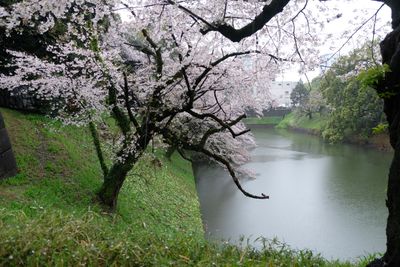 DSCF0151.JPG