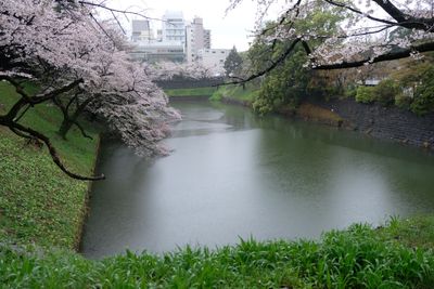 DSCF0152.JPG