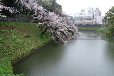 DSCF0155.JPG