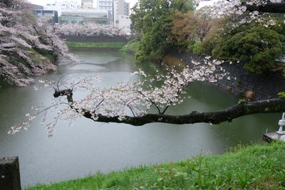 DSCF0156.JPG