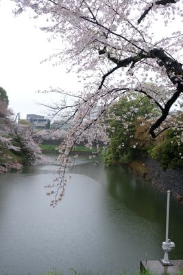 DSCF0157.JPG