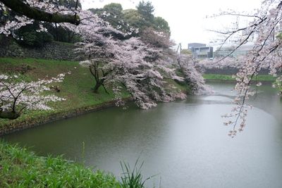 DSCF0158.JPG