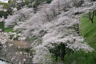 DSCF0165.JPG