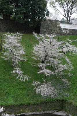 DSCF0170.JPG