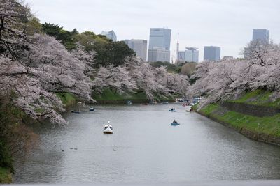 DSCF0180.JPG