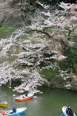 DSCF0181.JPG