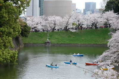 DSCF0193.JPG