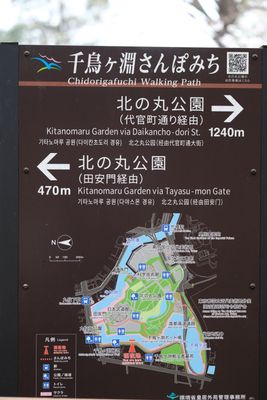 DSCF0203.JPG