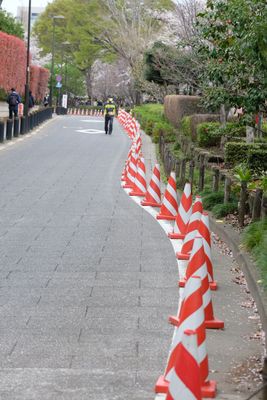 DSCF0213.JPG