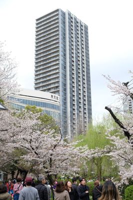 DSCF0226.JPG