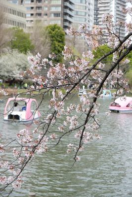 DSCF0227.JPG