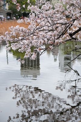 DSCF0228.JPG