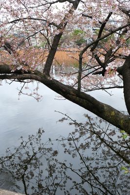 DSCF0229.JPG