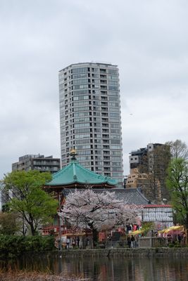 DSCF0239.JPG