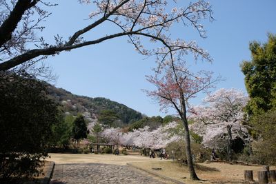 DSCF0258.JPG