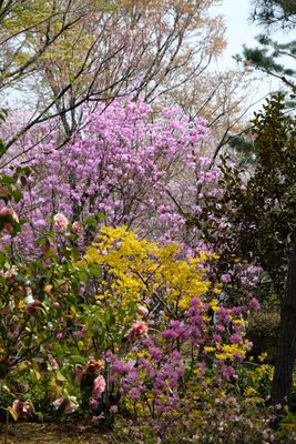 DSCF0265.JPG