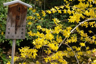 DSCF0270.JPG