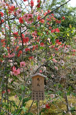DSCF0272.JPG