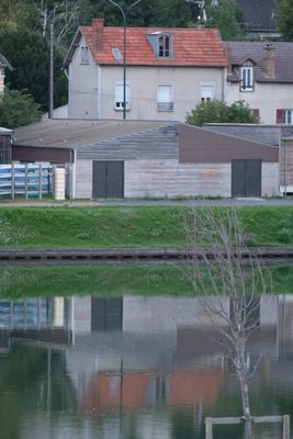 DSCF0007.JPG