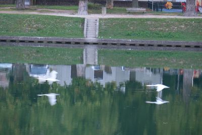 DSCF0009.JPG