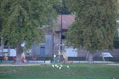 DSCF0019.JPG