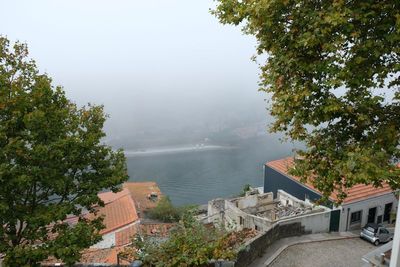 DSCF0379.JPG