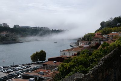 DSCF0443.JPG