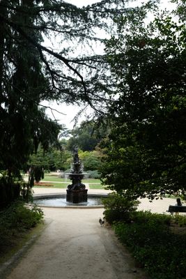 DSCF0450.JPG