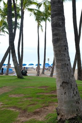 DSCF0548.JPG