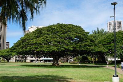 DSCF0559.JPG