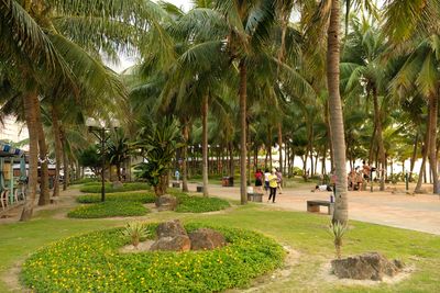DSCF0152.JPG