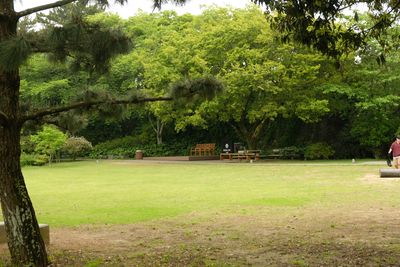 DSCF0456.JPG
