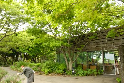 DSCF0478.JPG