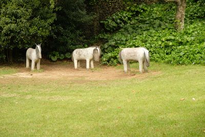 DSCF0491.JPG