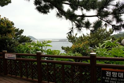 DSCF0495.JPG