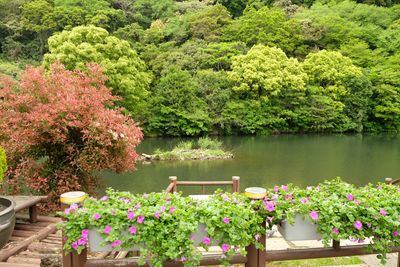 DSCF0513.JPG