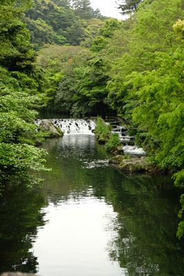 DSCF0529.JPG