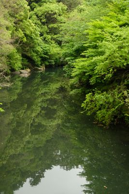 DSCF0530.JPG