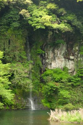 DSCF0533.JPG
