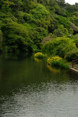 DSCF0564.JPG