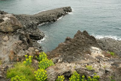 DSCF0570.JPG