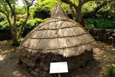 DSCF0603.JPG