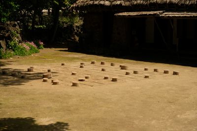 DSCF0623.JPG