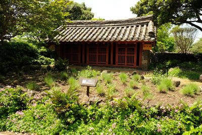 DSCF0624.JPG