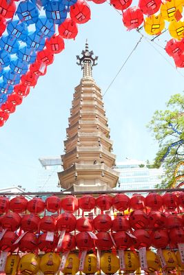 DSCF0668.JPG