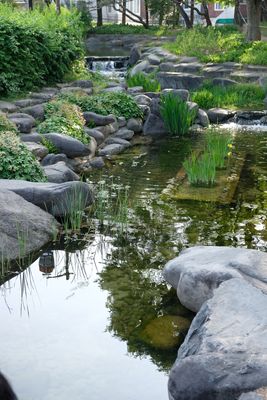 DSCF0734.JPG