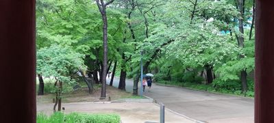 20240505_172752.jpg