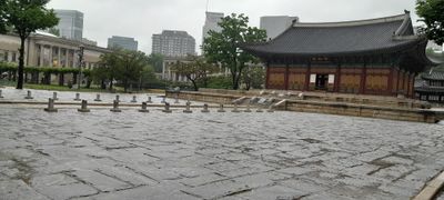 20240505_172844.jpg