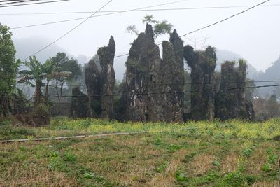 DSCF2210.JPG