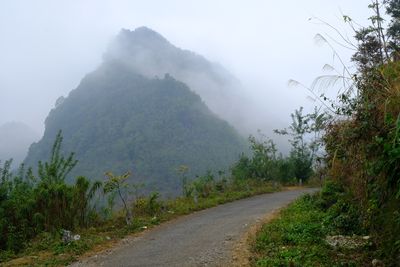DSCF2215.JPG